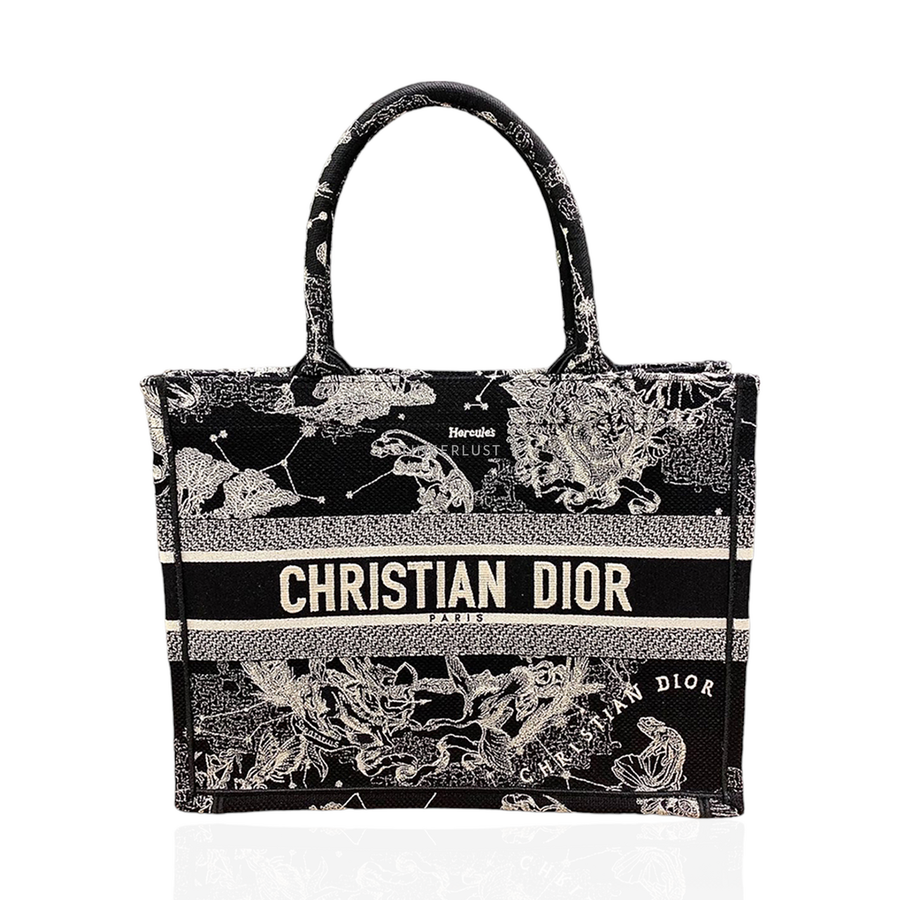 tas tote bag Christian Dior Book Tote Medium Latte Black Toile De